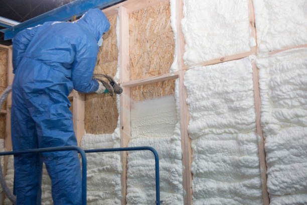 Best Batt and Roll Insulation  in Locust Fork, AL